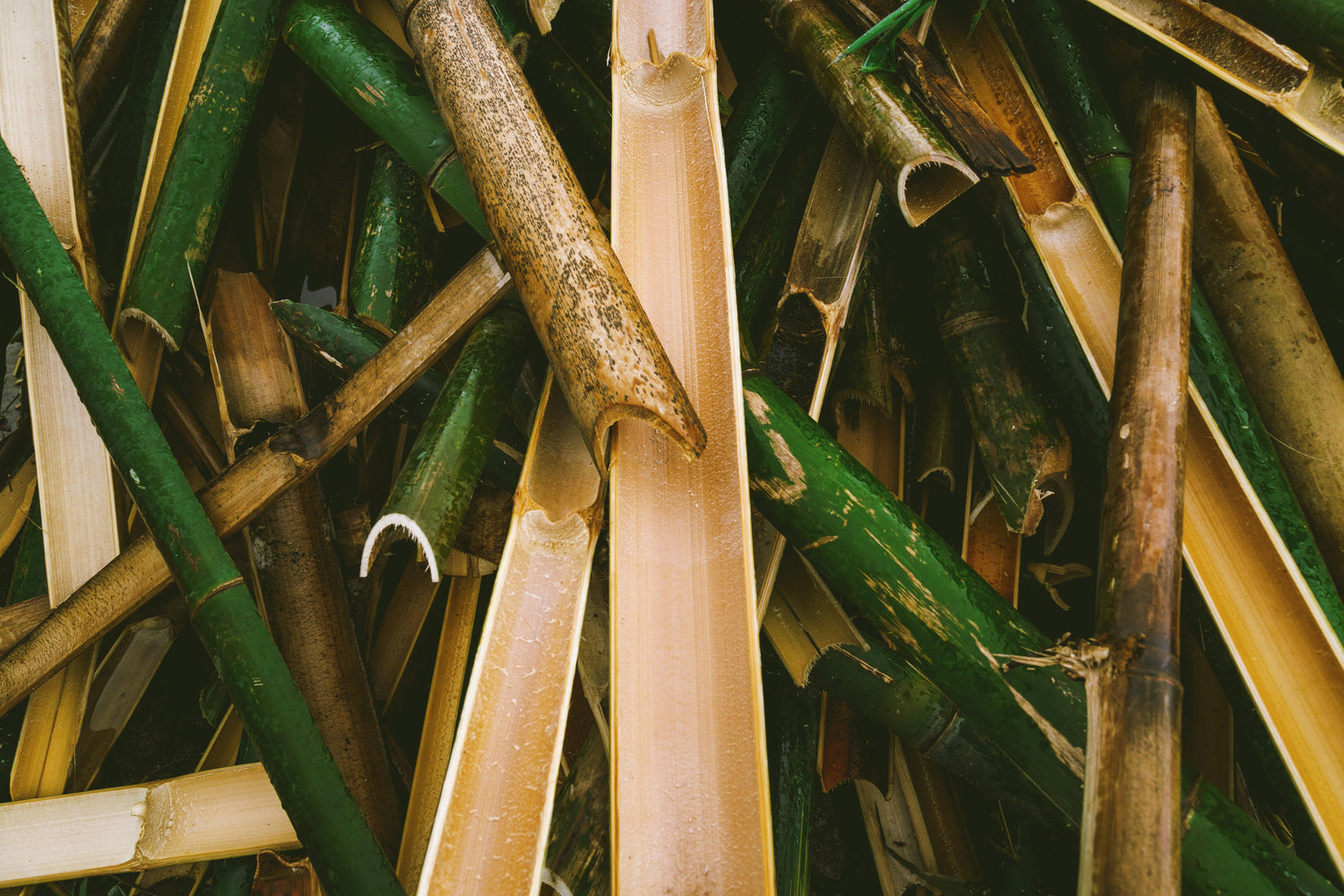 Pourquoi choisir des boxers en fibre de bambou plutôt qu’en coton ou polyester ?